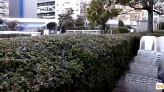十大免费在线观影网站,让你随时随地尽情享受优质影视_电影_视频V888JAV